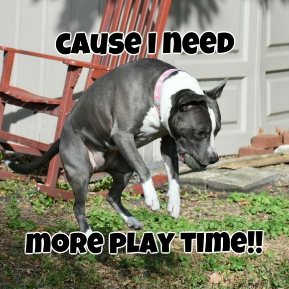 ABOUT OFFERS - Picture 6 of 8